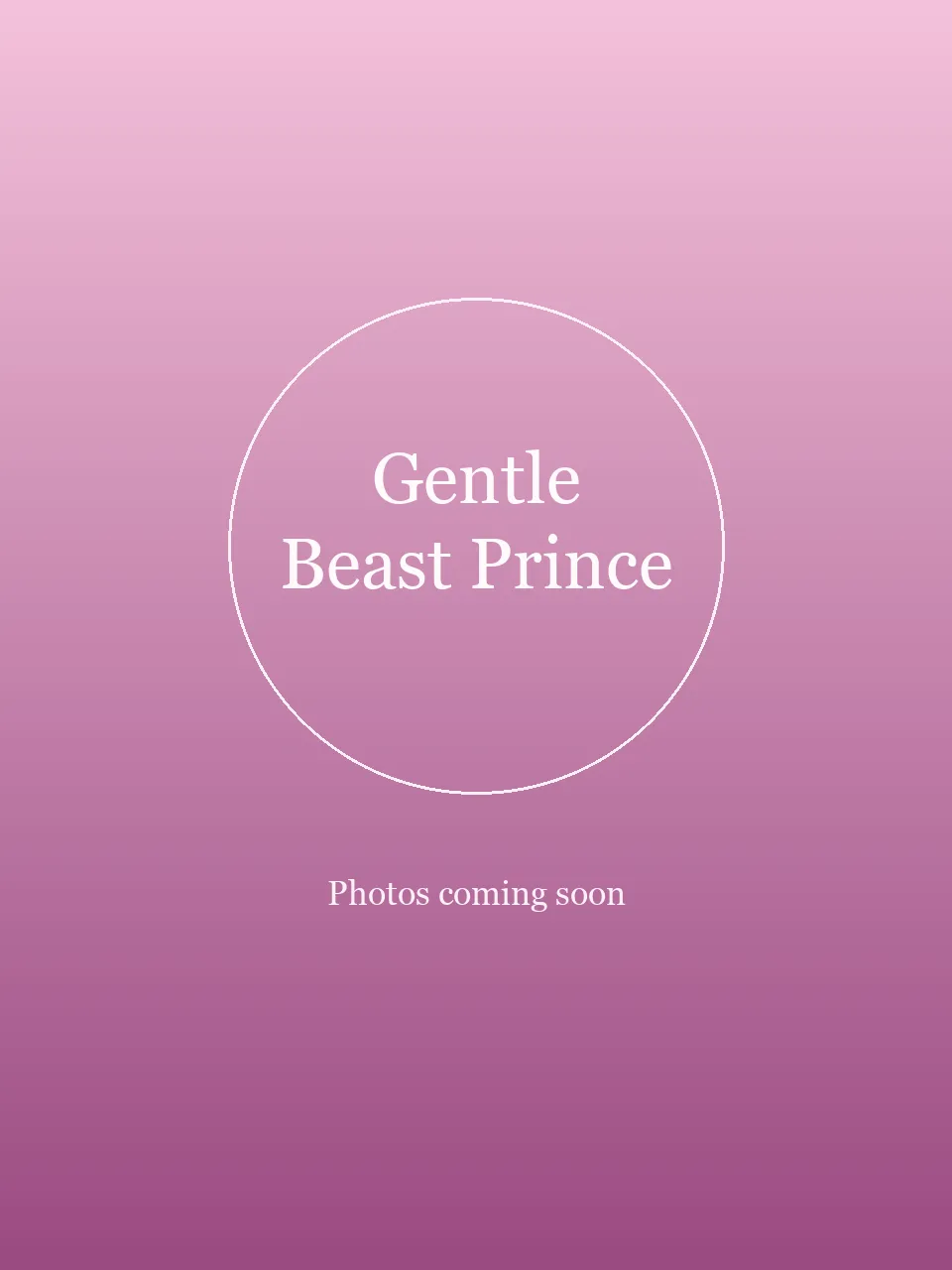 Gentle Beast Prince party character in Los Angeles