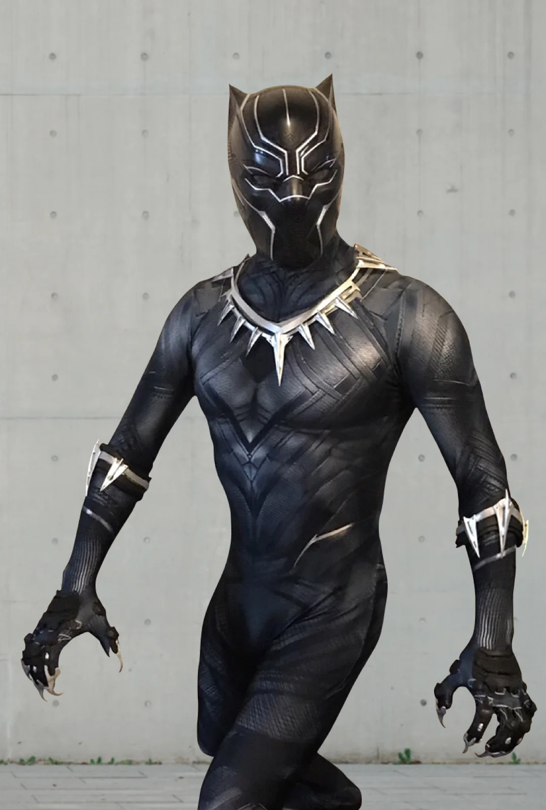 Panther Hero party character in Los Angeles