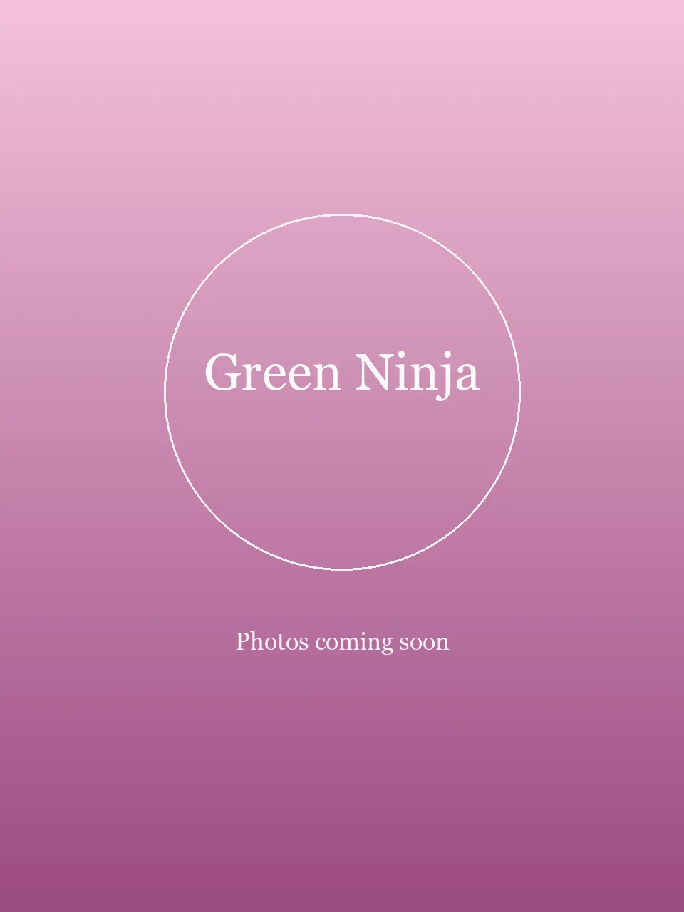 Green Ninja party character in Los Angeles