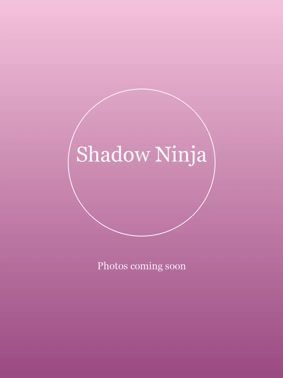 Shadow Ninja party character in Los Angeles