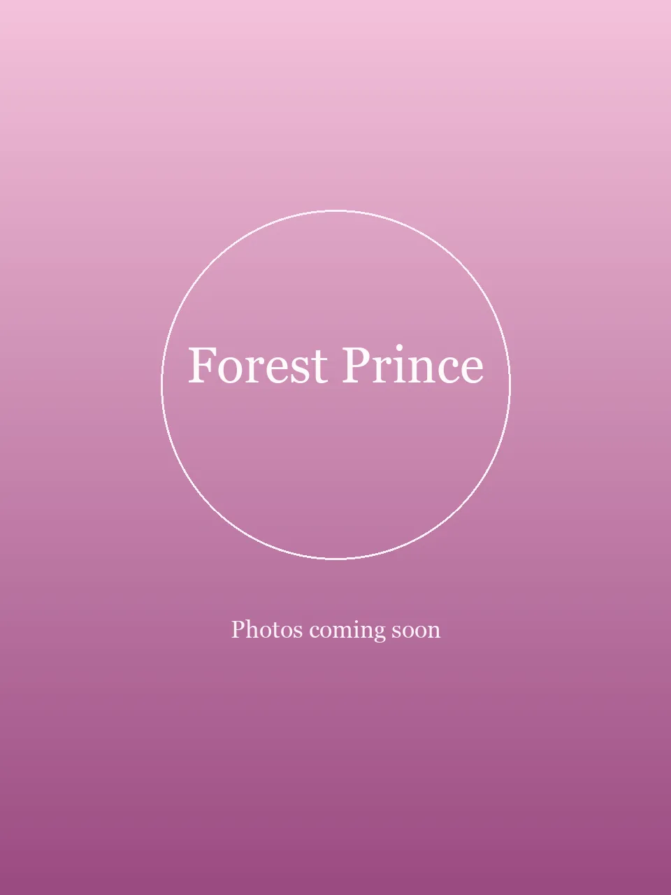 Forest Prince party character in Los Angeles