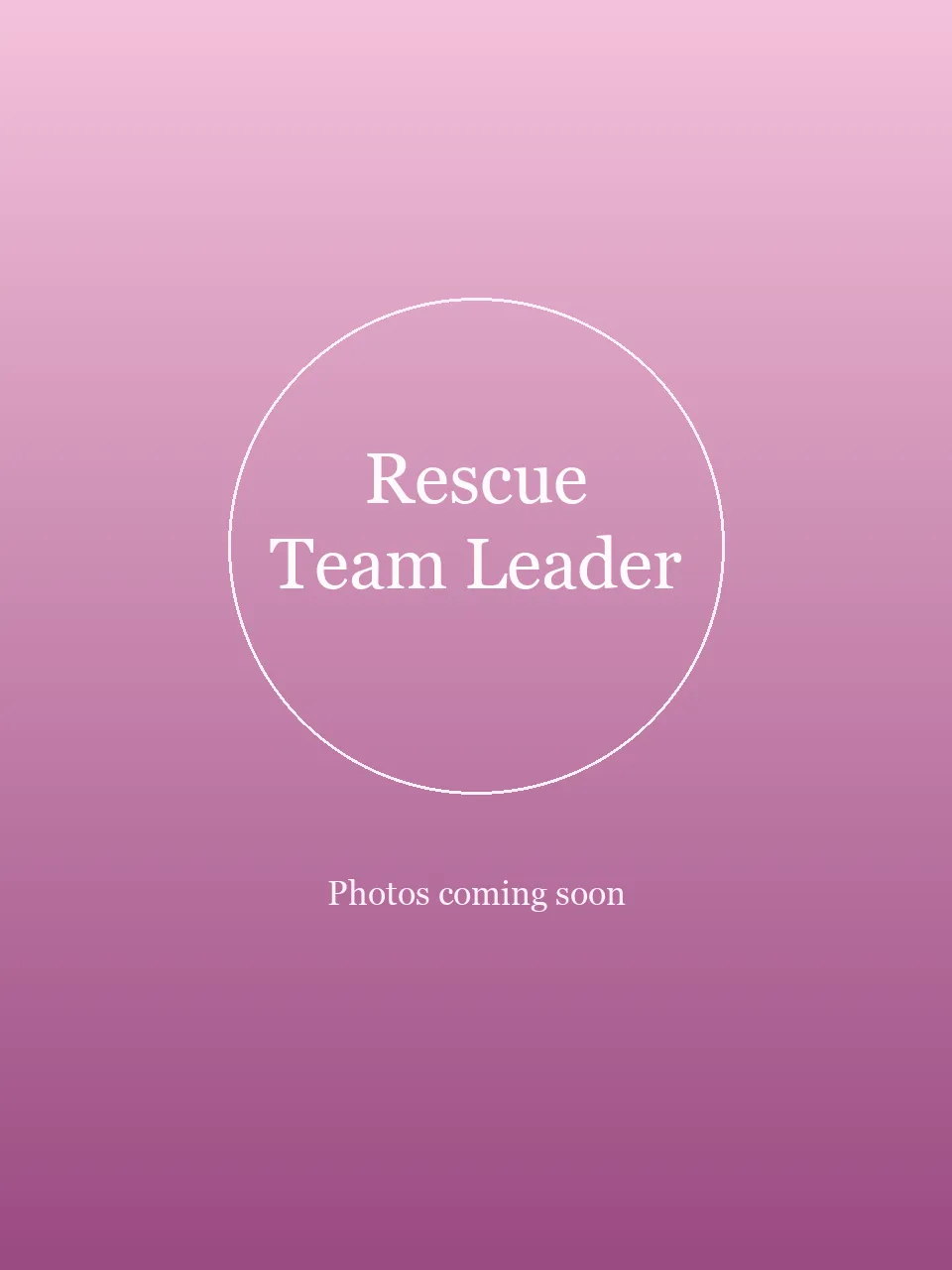 Rescue Team Leader party character in Los Angeles